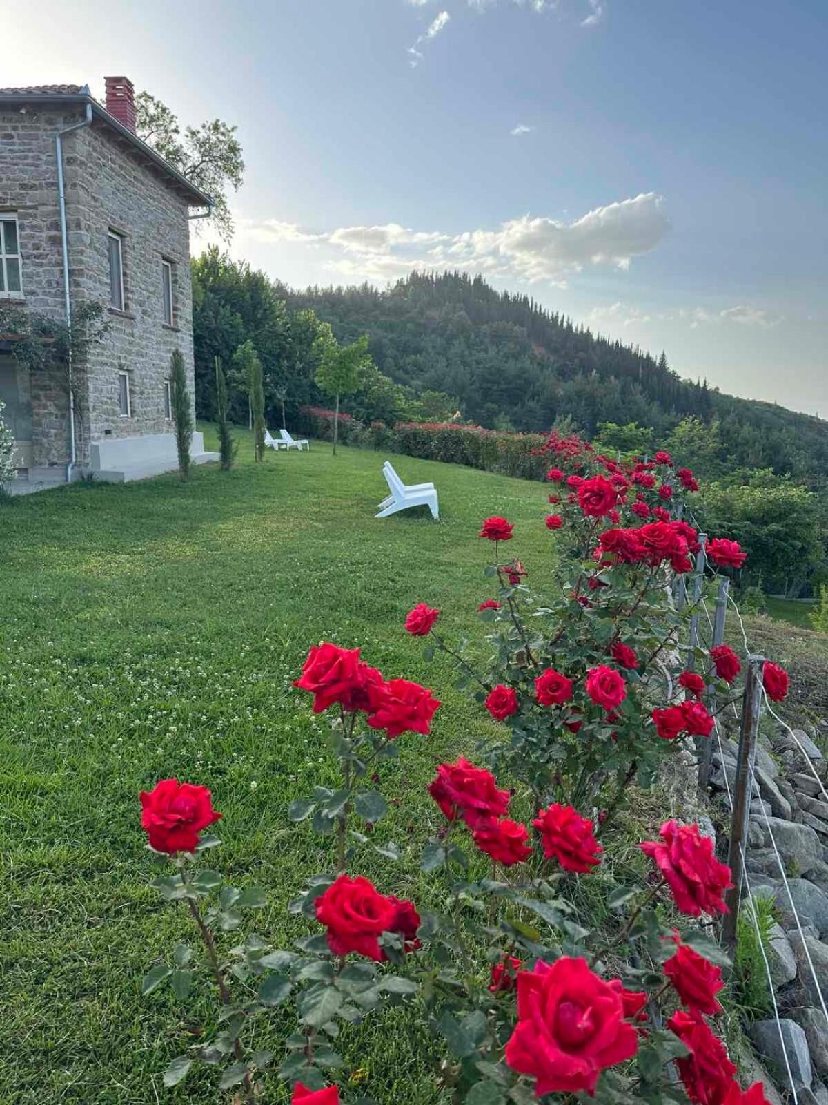 Εn Kanaliois Kanalia Exterior foto